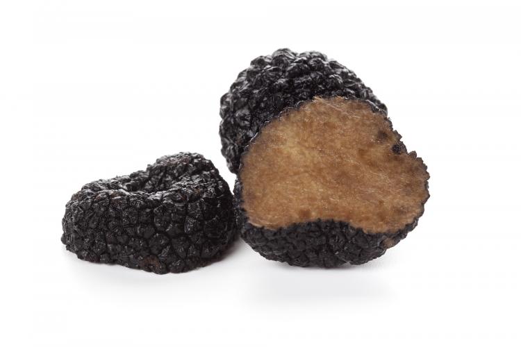 Chinese truffel