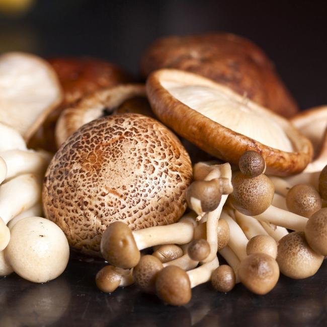 Gedroogde paddenstoelen