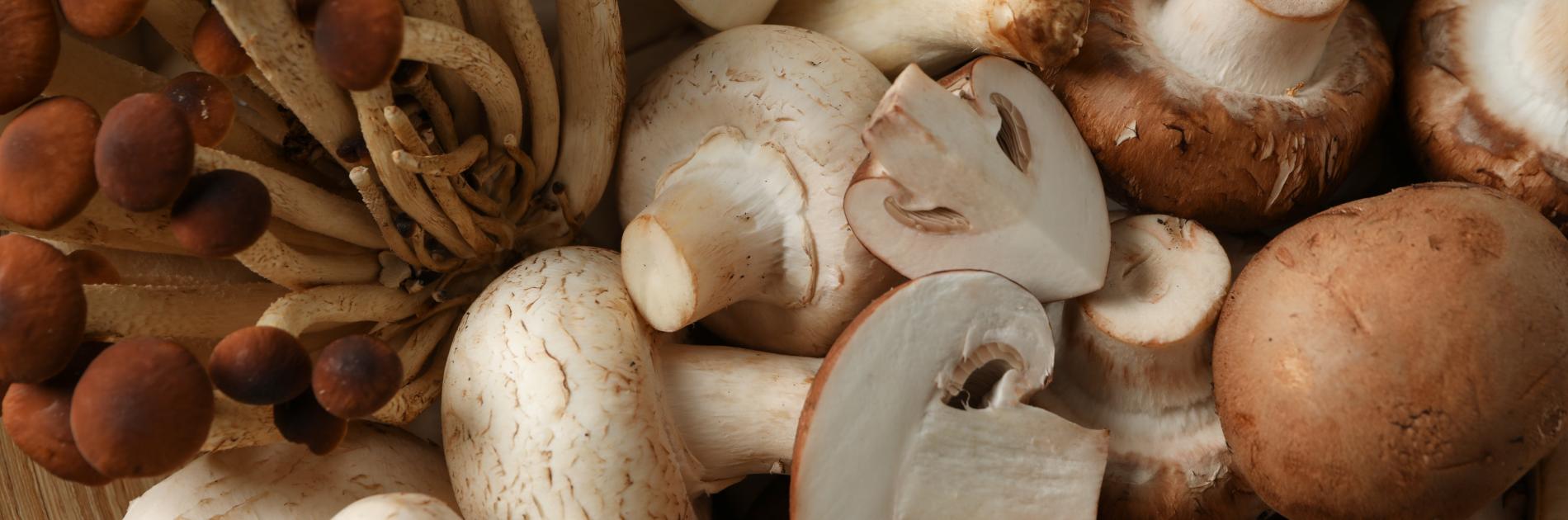 Gecultiveerde paddenstoelen